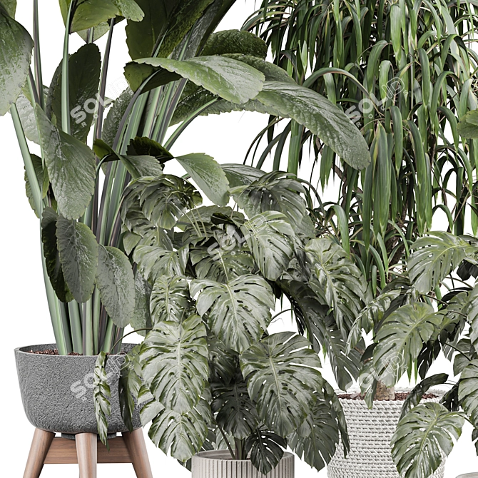 Modern Indoor Plant 3D Model 3D model image 7