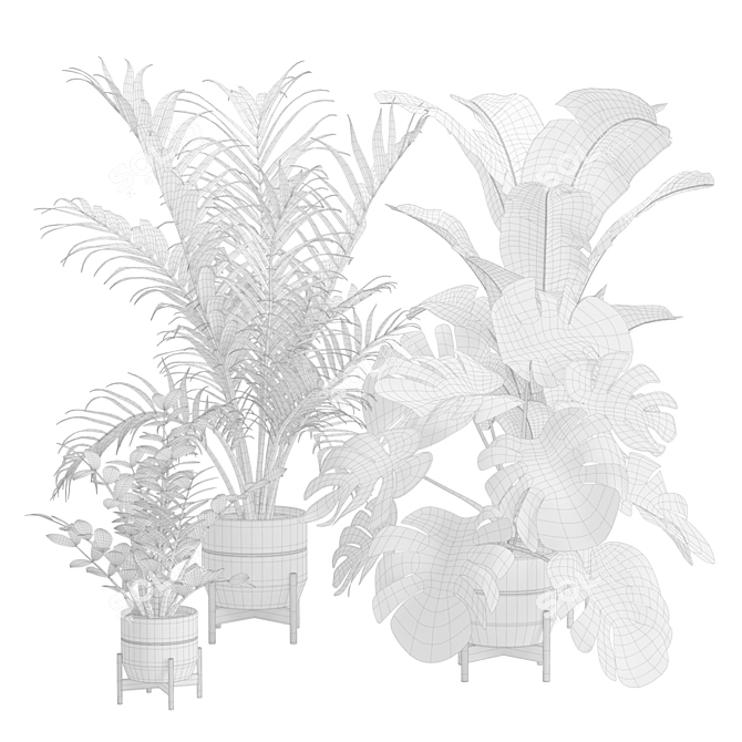 Exotic Indoor Plants 3D Pack 3D model image 3