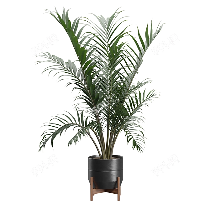 Exotic Indoor Plants 3D Pack 3D model image 5