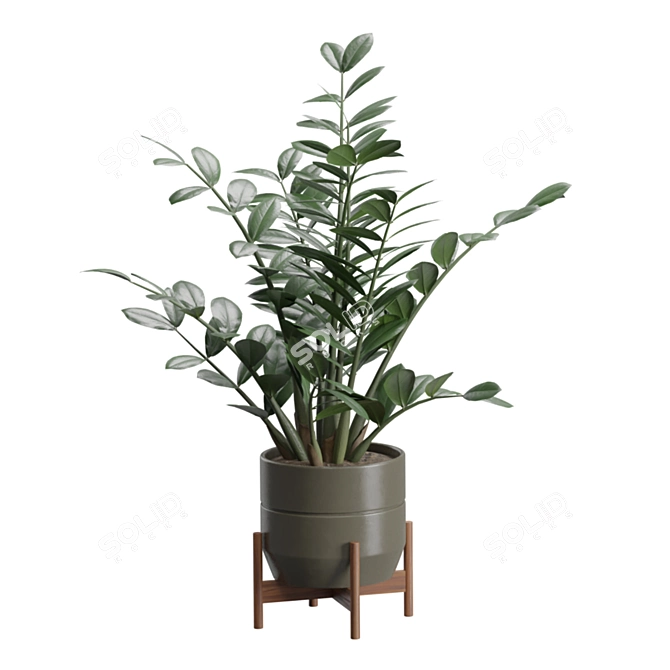 Exotic Indoor Plants 3D Pack 3D model image 7