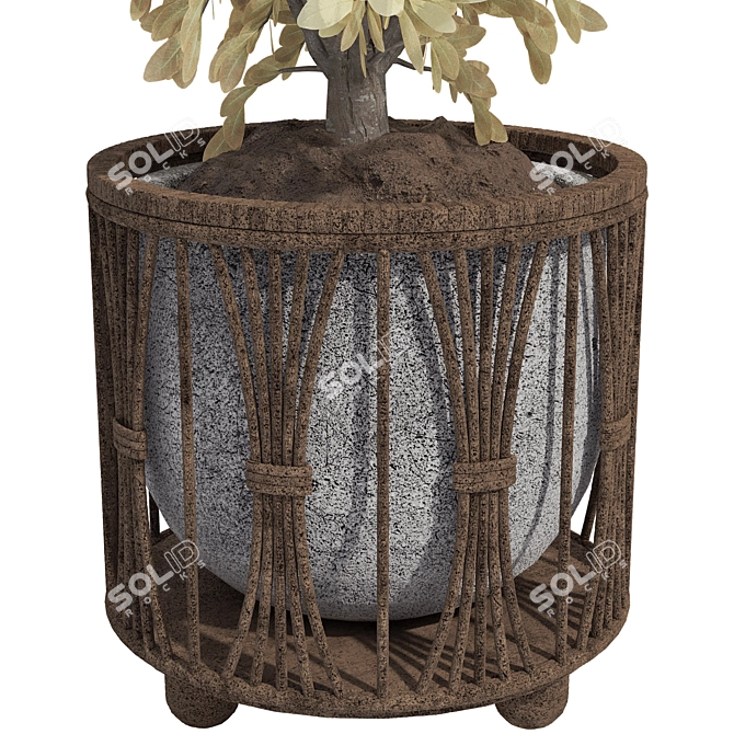 Decorative Bonsai Tree Wicker Pot 3D model image 6