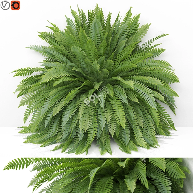 Green Oasis Plants Collection 3D model image 1