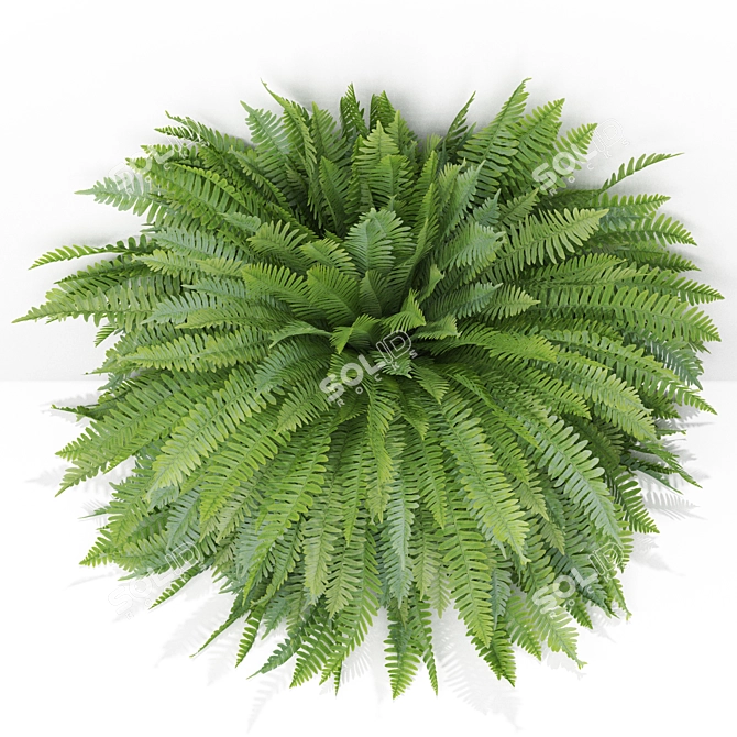 Green Oasis Plants Collection 3D model image 3