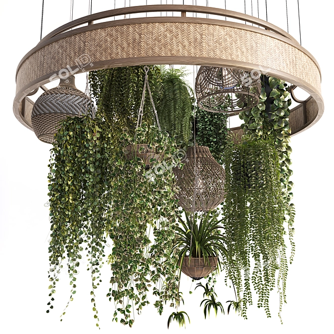 Title: Rattan Pendant Lights with Plants 3D model image 5