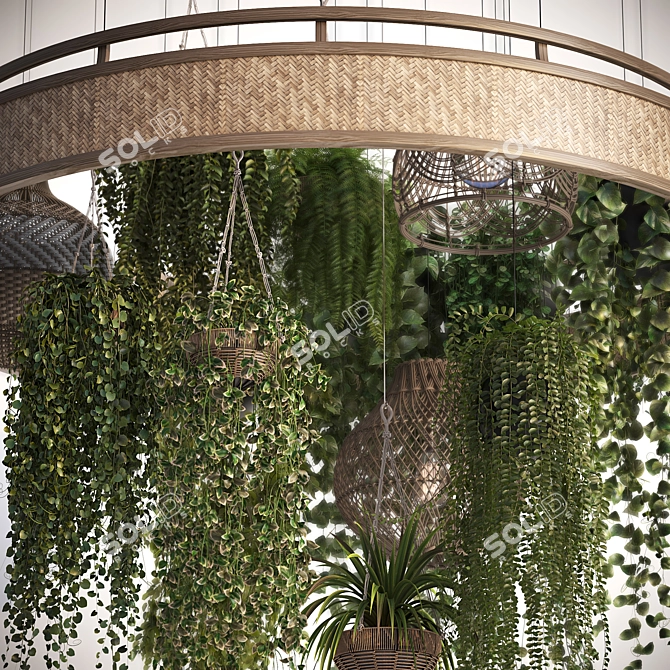 Title: Rattan Pendant Lights with Plants 3D model image 6