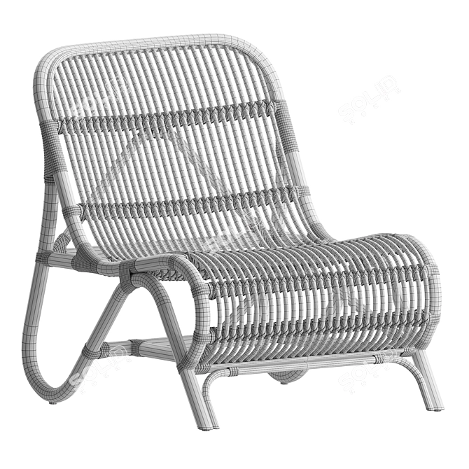 Modern Rattan Lounge Chair 3D model image 4