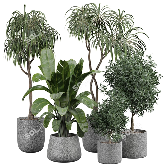 Luxury Indoor Plant Model 322 3D model image 1