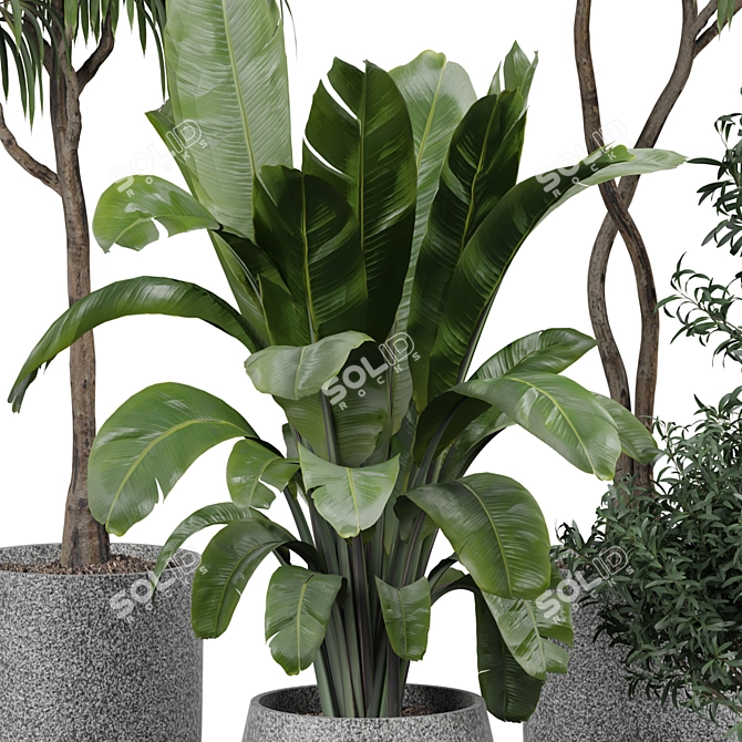 Luxury Indoor Plant Model 322 3D model image 3