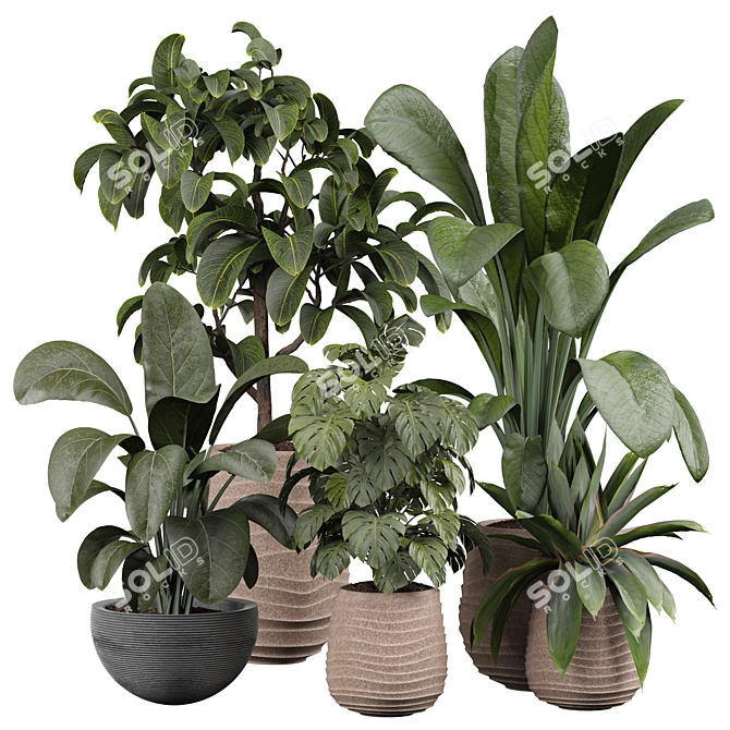 Lush Indoor Plant 3D Model 3D model image 1