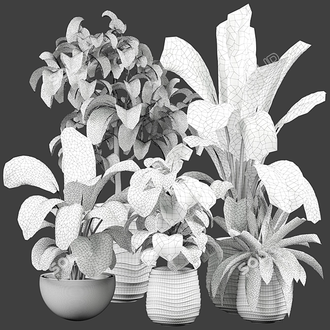 Lush Indoor Plant 3D Model 3D model image 4