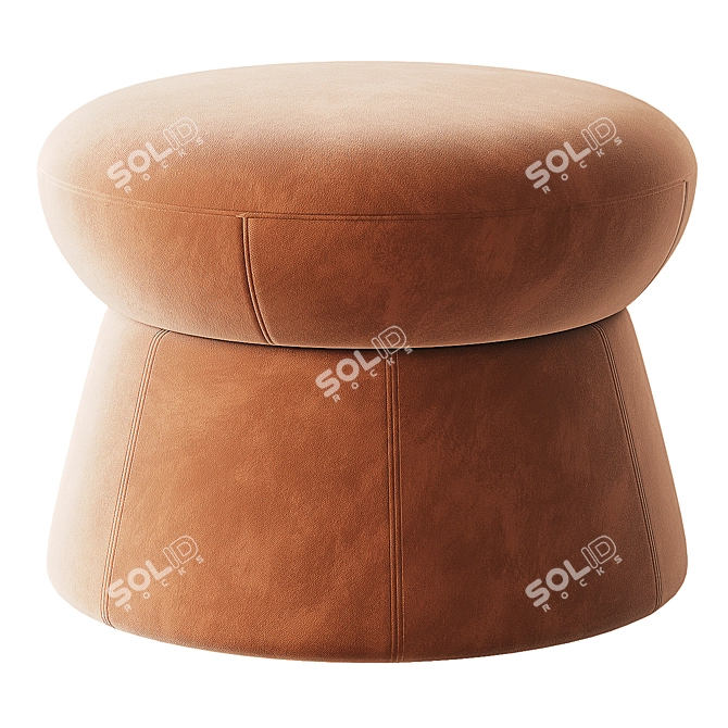 Versatile De Sede DS-163 Pouf 3D model image 5