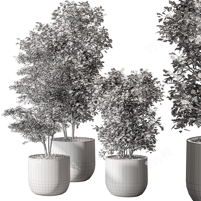 Sapling Tree Indoor Plant 543 3D model image 3