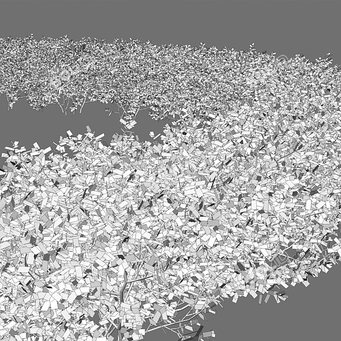 Complete Boxwood Plant Model Solution 3D model image 1