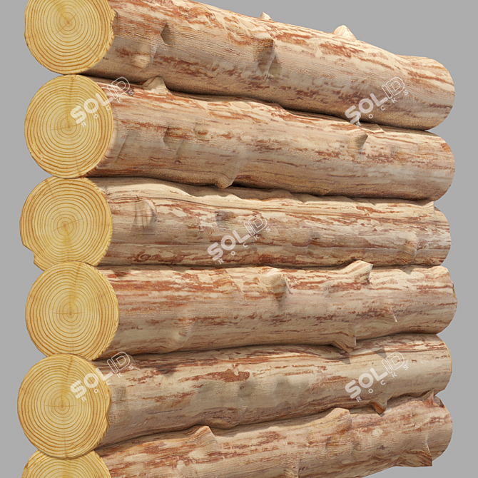 10-Piece Log Set, 3000x300 3D model image 3