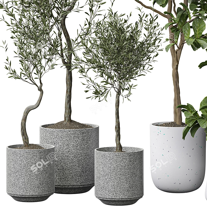 Modern Indoor Plant Decoration 3D model image 2