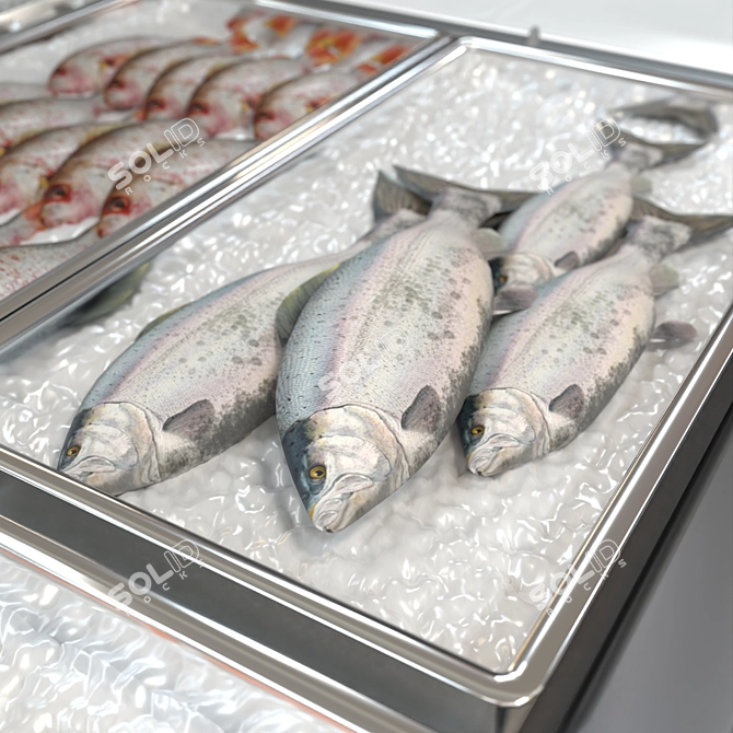 Hypermarket-Ready Fish Refrigerator 3D model image 2