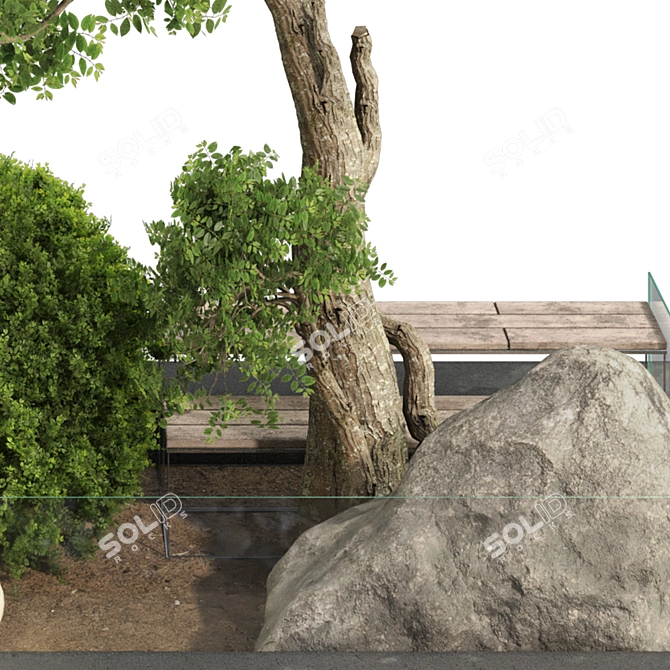 Lush Garden Tree & Bush Set 3D model image 13