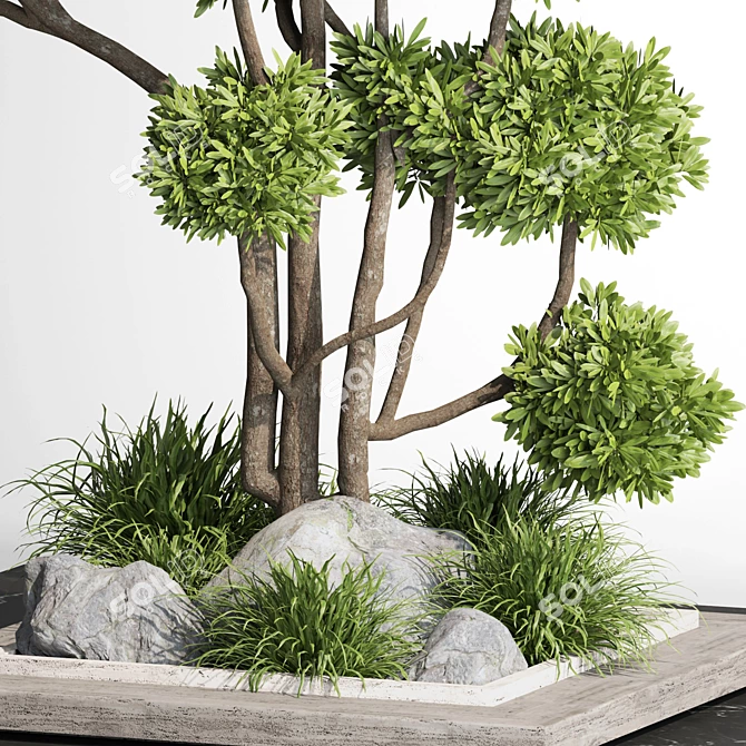 Modern Indoor Plant Set 012 3D model image 4