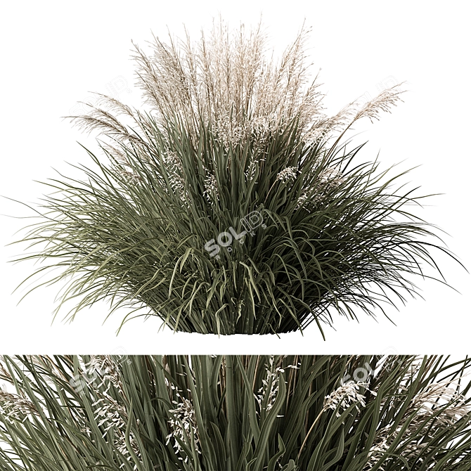 24-Piece White Flower Grass 3D model image 1