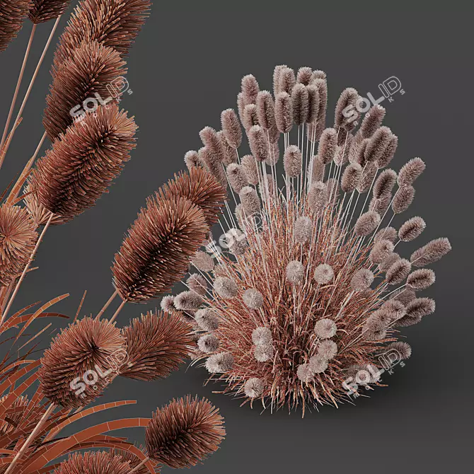 Ornamental Pennisetum Fountain Grass 3D model image 5