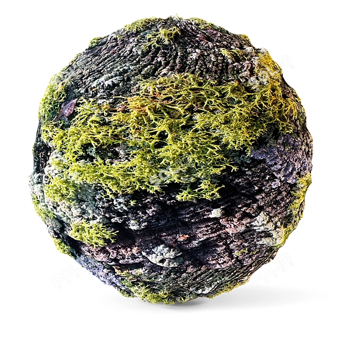 Moss Material Texture Pack 3D model image 1