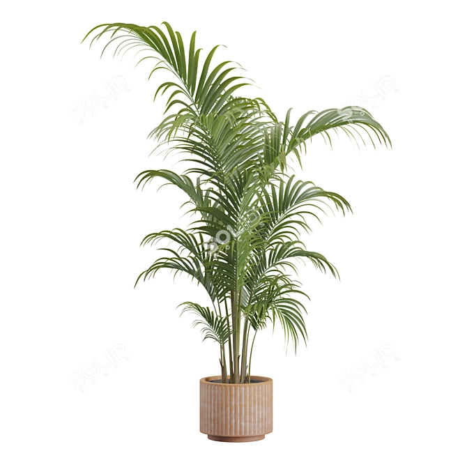 Tropical Areca Palm Set Render 3D model image 5