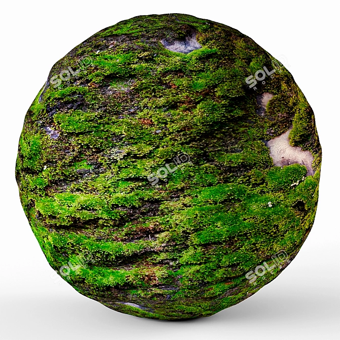 4K Seamless Moss Texture Pack 3D model image 1
