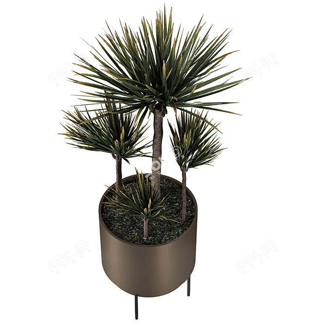 Modern Indoor Plant with Planter 3D model image 3