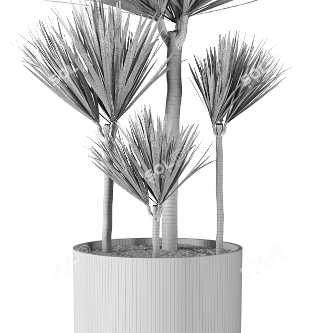 Modern Indoor Plant with Planter 3D model image 4