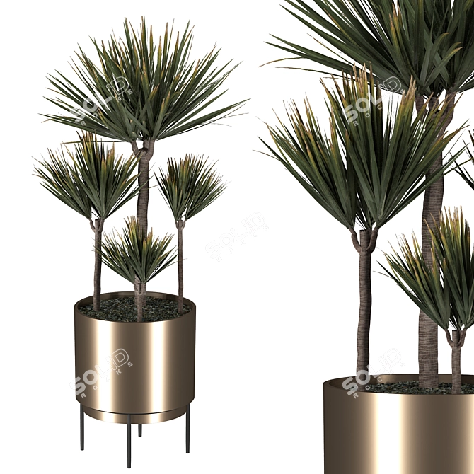 Modern Indoor Plant with Planter 3D model image 5