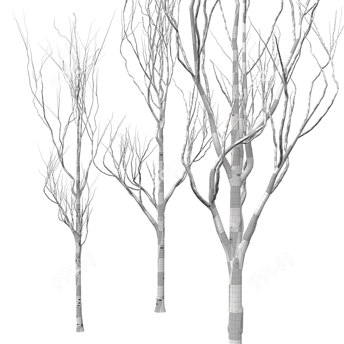 Young Oak Trees Set for Modern Exteriors 3D model image 3