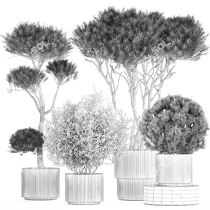 Modern Concrete Plant Trees Collection 3D model image 6