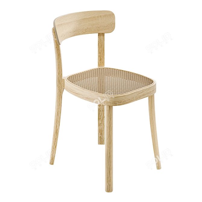 Modern Rattan and Wood Chair 3D model image 1