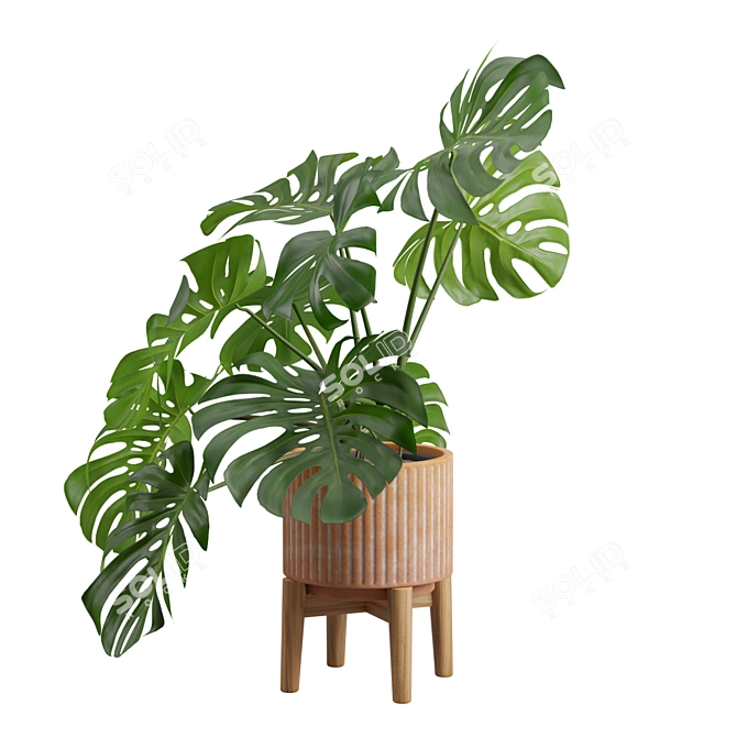 Tropical Monstera Plant Stand Pot 3D model image 5