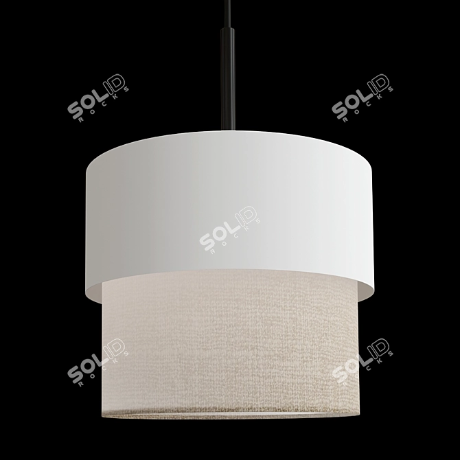 Modern Double Pendant Light Collection 3D model image 2