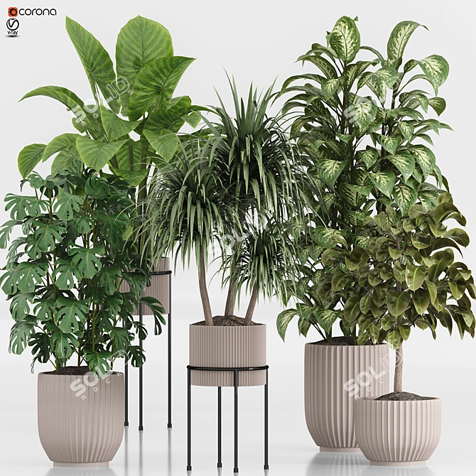  Indoor Plant Set 023 3D model image 1