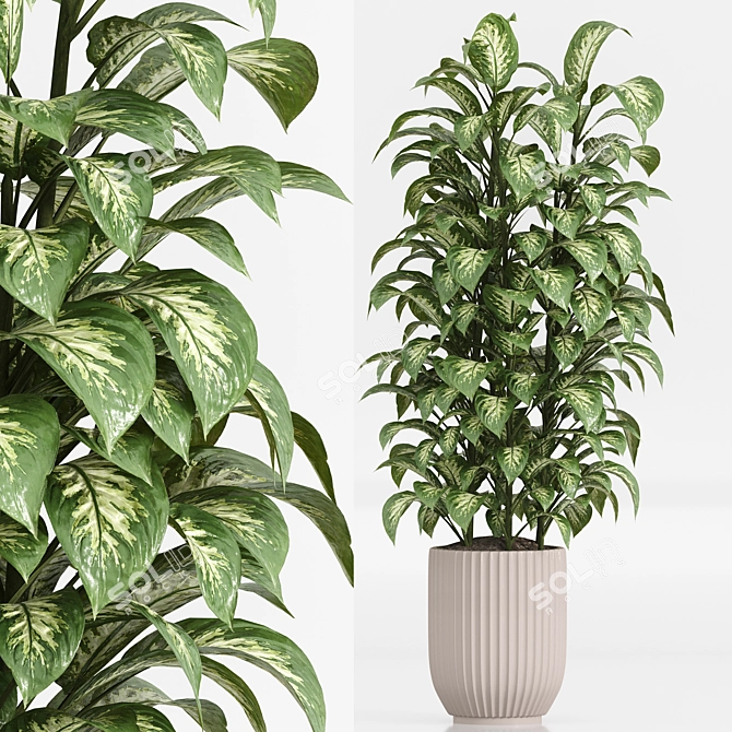  Indoor Plant Set 023 3D model image 2
