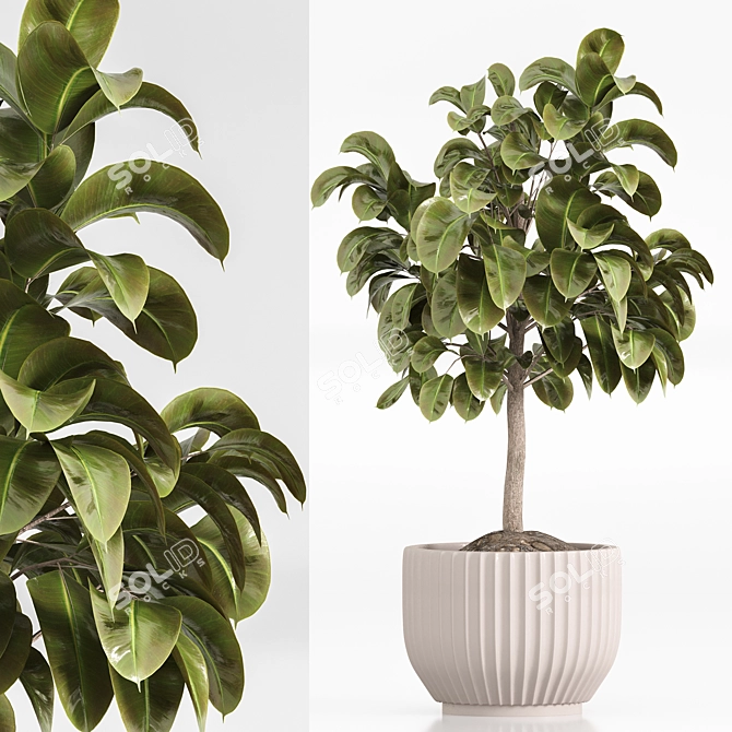  Indoor Plant Set 023 3D model image 3