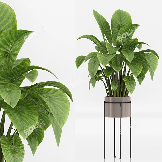  Indoor Plant Set 023 3D model image 4