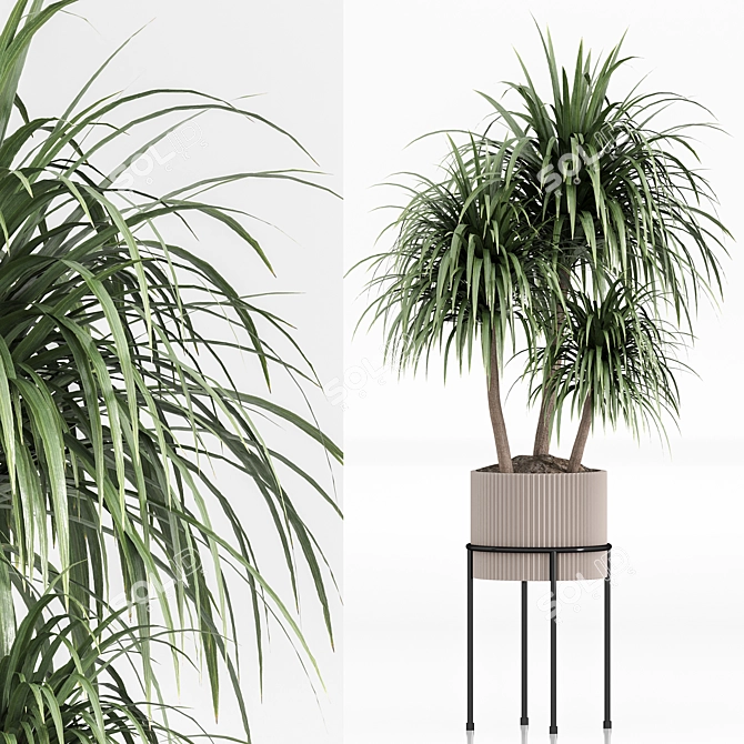  Indoor Plant Set 023 3D model image 5