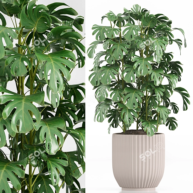  Indoor Plant Set 023 3D model image 6