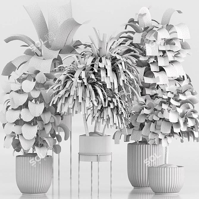  Indoor Plant Set 023 3D model image 7