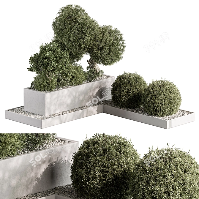 Outdoor Garden Box Plants 3D model image 1