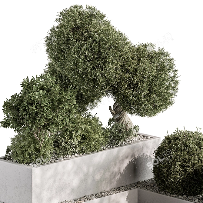 Outdoor Garden Box Plants 3D model image 3