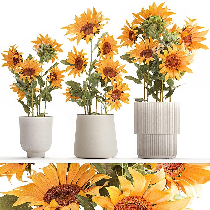 Title: Sunflower Collection in Concrete Planters 3D model image 1