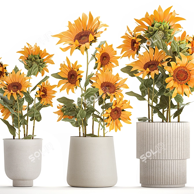 Title: Sunflower Collection in Concrete Planters 3D model image 4