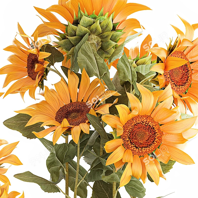 Title: Sunflower Collection in Concrete Planters 3D model image 5