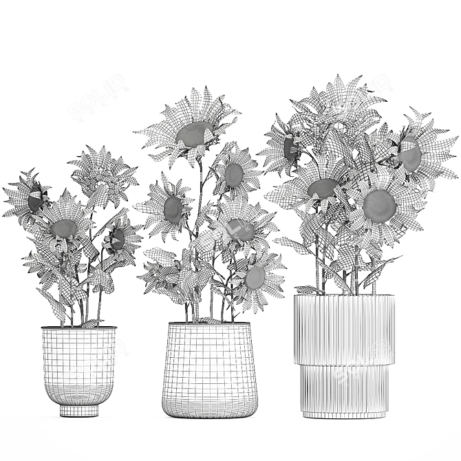 Title: Sunflower Collection in Concrete Planters 3D model image 7