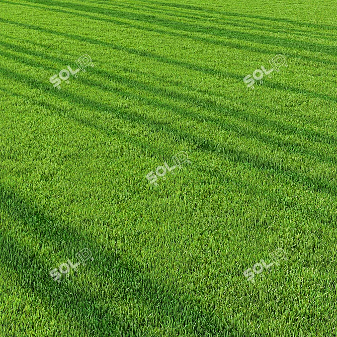 Pro Landscaping Grass Bundle 3D model image 1