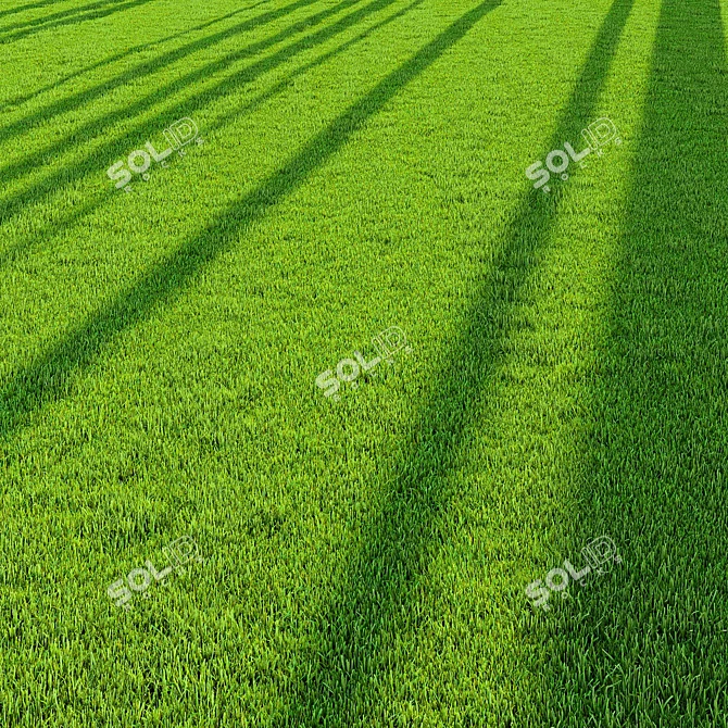 Pro Landscaping Grass Bundle 3D model image 2